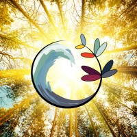 Wisdom Ways Center for Spirituality logo - Similar company to Accola