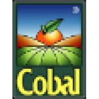 Cobal S.p.a. logo - Similar company to Liocreo S.R.L.