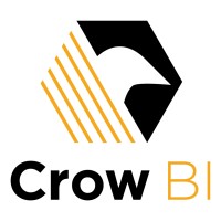 Crow BI logo - Similar company to Emc Project Management Solution