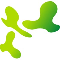 INDIEstudio logo - Similar company to Carlosjimenezdesign