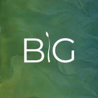 Born Global (BG) logo - Similar company to Abundanism