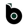 Bowrand logo - Similar company to Widrive