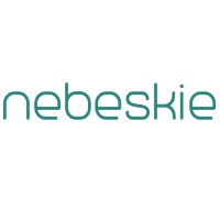 Nebeskie logo - Similar company to Techved Solutions Llp