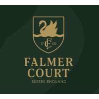 Falmer court logo - Similar company to 100X