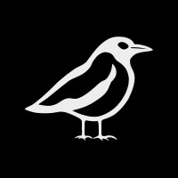 Magpai logo - Similar company to Payroll Intelligence