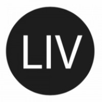 LIV Consulting logo - Similar company to Bluferry Consulting (Pty) Ltd