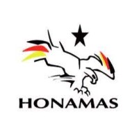 Deutsche Hockey Nationalmannschaft logo - Similar company to S&H Kontor