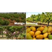 Farm Fresh Fruits logo - Similar company to Simpli Fresh