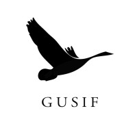 Georgetown University Student Investment Fund logo - Similar company to Georgetown Entrepreneurship