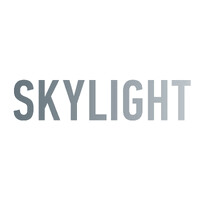 Skylight logo - Similar company to Vrf Solutions, Llc