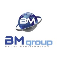 BM GROUP logo - Similar company to Bm Group