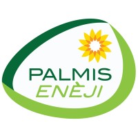 Palmis Eneji logo - Similar company to Sociodigital Research Group - Sociodig