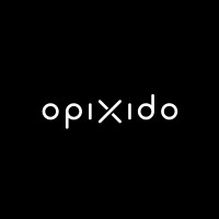 opixido logo - Similar company to Audiosoft