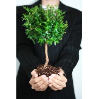 Asesoría Ambiental logo - Similar company to Repcicla