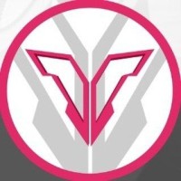 ValyXSneaks logo - Similar company to The Breach Company