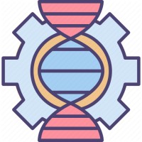 M.M. Engineering Services