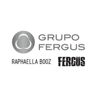 Grupo Fergus logo - Similar company to Toptech Srl