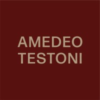 AMEDEO TESTONI logo - Similar company to Futureclo