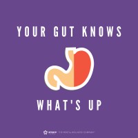 Gut Brain Axis The Future of Health logo - Similar company to Brain Gut Axis