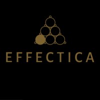 Effectica logo - Similar company to Teamlance