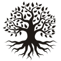 Freedom Oak Media logo - Similar company to Adducent | Story & Book Development