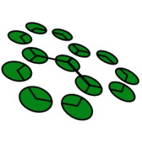 OIDZ logo - Similar company to The Tree Cbd