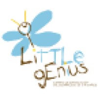 CENTRO DE ESTIMULACIÓN TEMPRANA LITTLE GENIUS S.L.