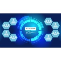 SILOTU Consulting PTY LTD logo - Similar company to Suim