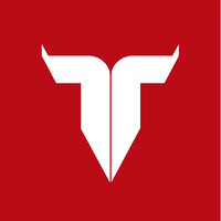 IAMTORO logo - Similar company to Shoutout Vip B.V.