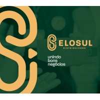 Elosul Distribuidora logo - Similar company to Controller - Sc