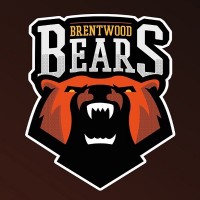 Brentwood Bears Basketball logo - Similar company to Talk To The Kitman