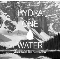 Hydra One Water Company, Inc logo - Similar company to Dusk