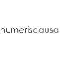 Numeriscausa Gallery