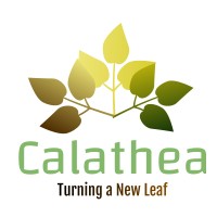 Calathea Coaching