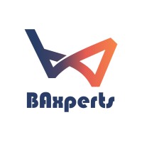 BAxperts logo - Similar company to System & Solutions Experts