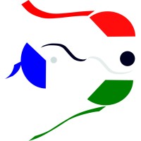 CelestAI Pte. Ltd. logo - Similar company to Algorims