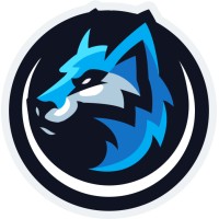 Polar Ace logo - Similar company to Fleeflee24