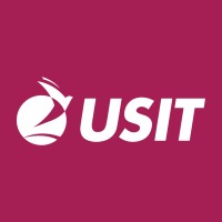 USIT logo - Similar company to Blissbrain