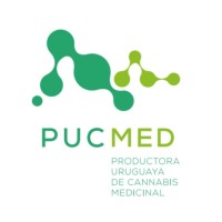PucMed logo - Similar company to Cannabis Asociados