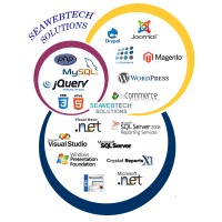 Seawebtech Solutions logo - Similar company to Ordoo