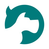 DogFish Design logo - Similar company to Sideshift - Change Your Perspective