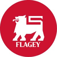 AD Delhaize Flagey logo - Similar company to Proxy Maleizen