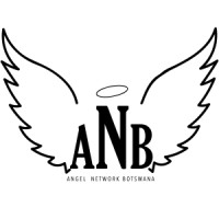 Angel Network Botswana logo - Similar company to Lelapa - African Fintech Advisory