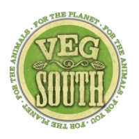 Vegsouth Initiative