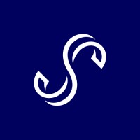 Soto Rabago Contadores Públicos logo - Similar company to Cesucedehi