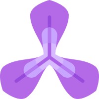 Diris logo - Similar company to Make Design & Code Limitless