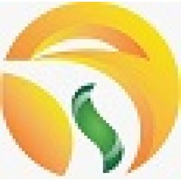 CICOSY ZIMBABWE logo - Similar company to E-Solutions Zimbabwe