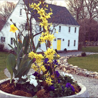 Kristina Larson Llc