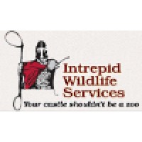 Intrepid wildlife services