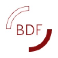 BDF IT Services logo - Similar company to Network Platforms (Pty) Ltd